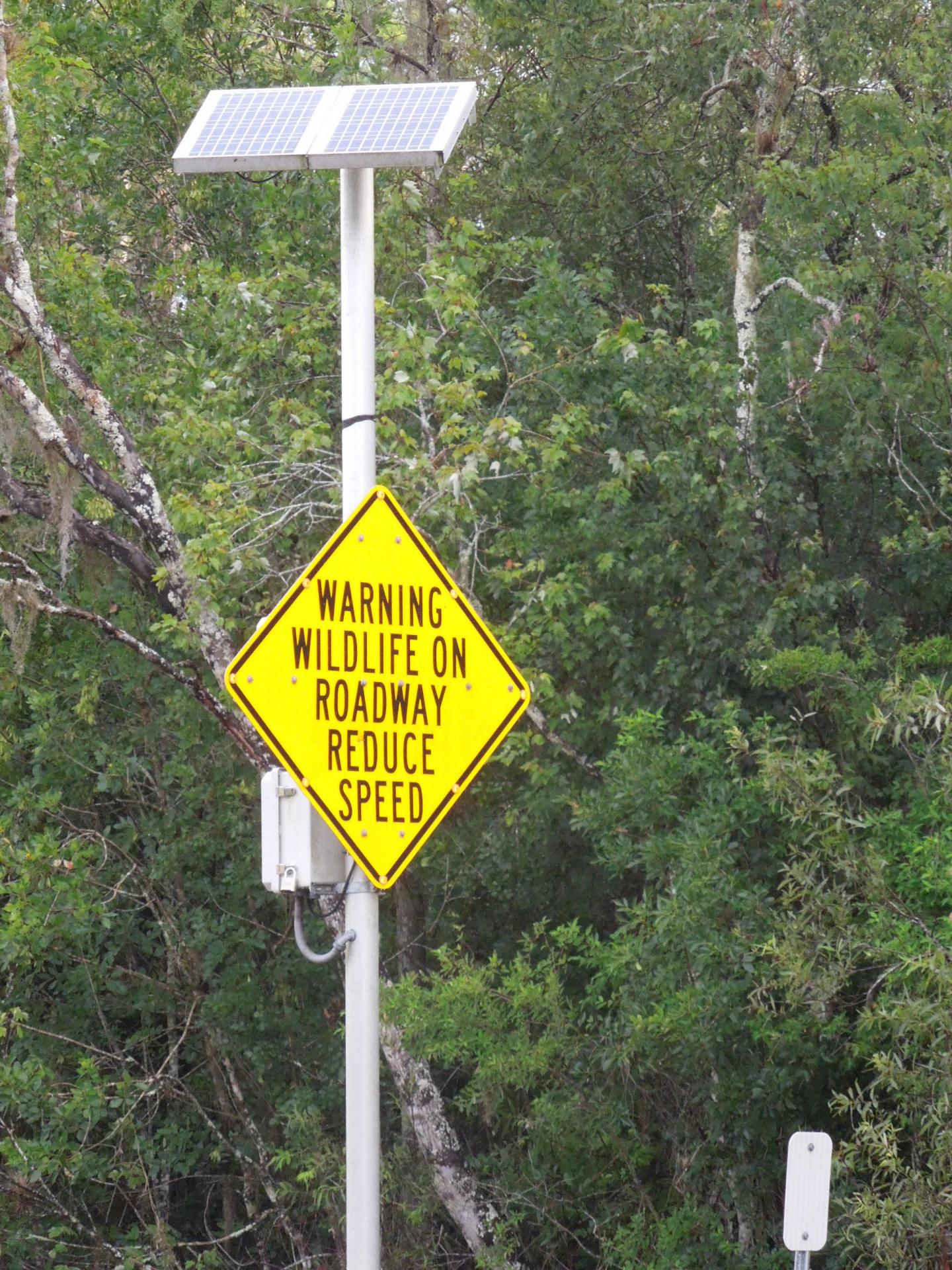 RADS Warning Sign