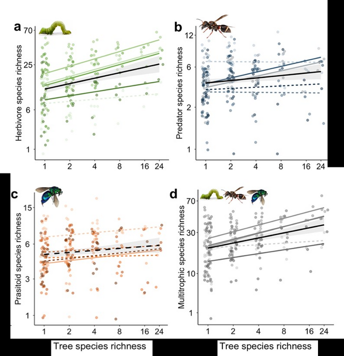 Relationships between tree diversity and species richness of herbivores (a), predators (b), parasitoids (c) and multitrophic groups (d)