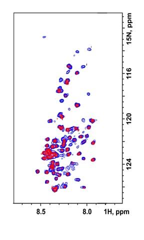 Application of the diffusion filter in a sample containing Sup35NM amyloid fibrils and proteolytic fragments
