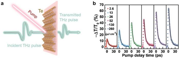 Figure 1 | Transient dynamics properties of Te nanofilm.