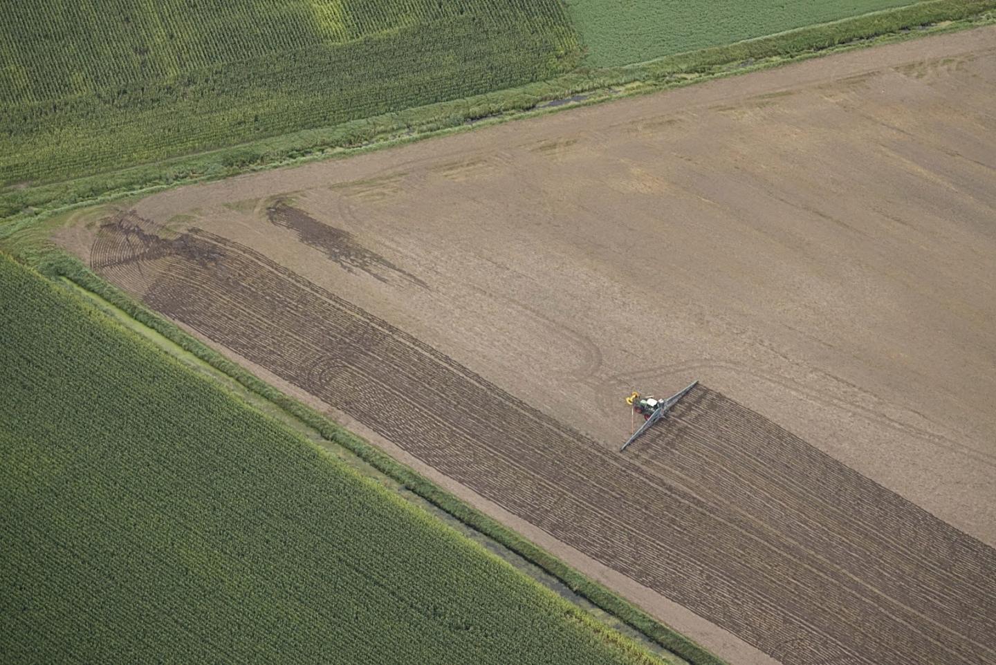 Weather Phenomena Such as El Niño Affect up to Two-thirds of the World's Harvests 2