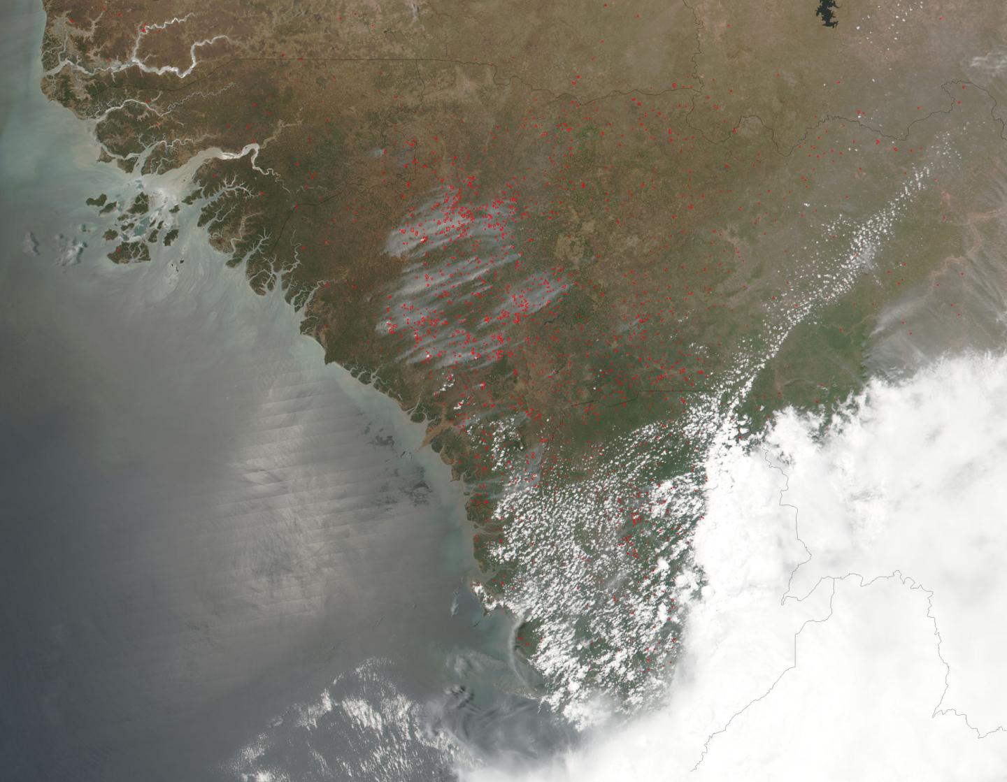 Agricultural Fires Light Up Guinea and Sierra Leone