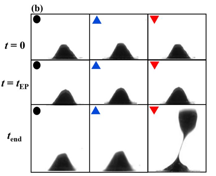 Snapshots of perturbations