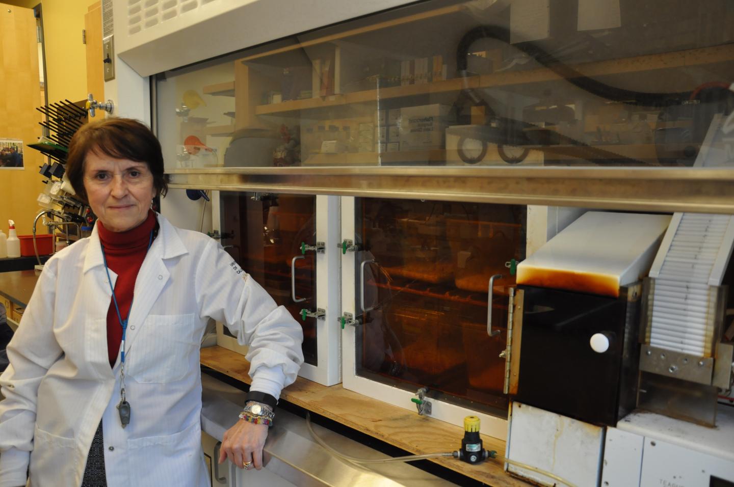 Manuela Martins-Green, University of California - Riverside