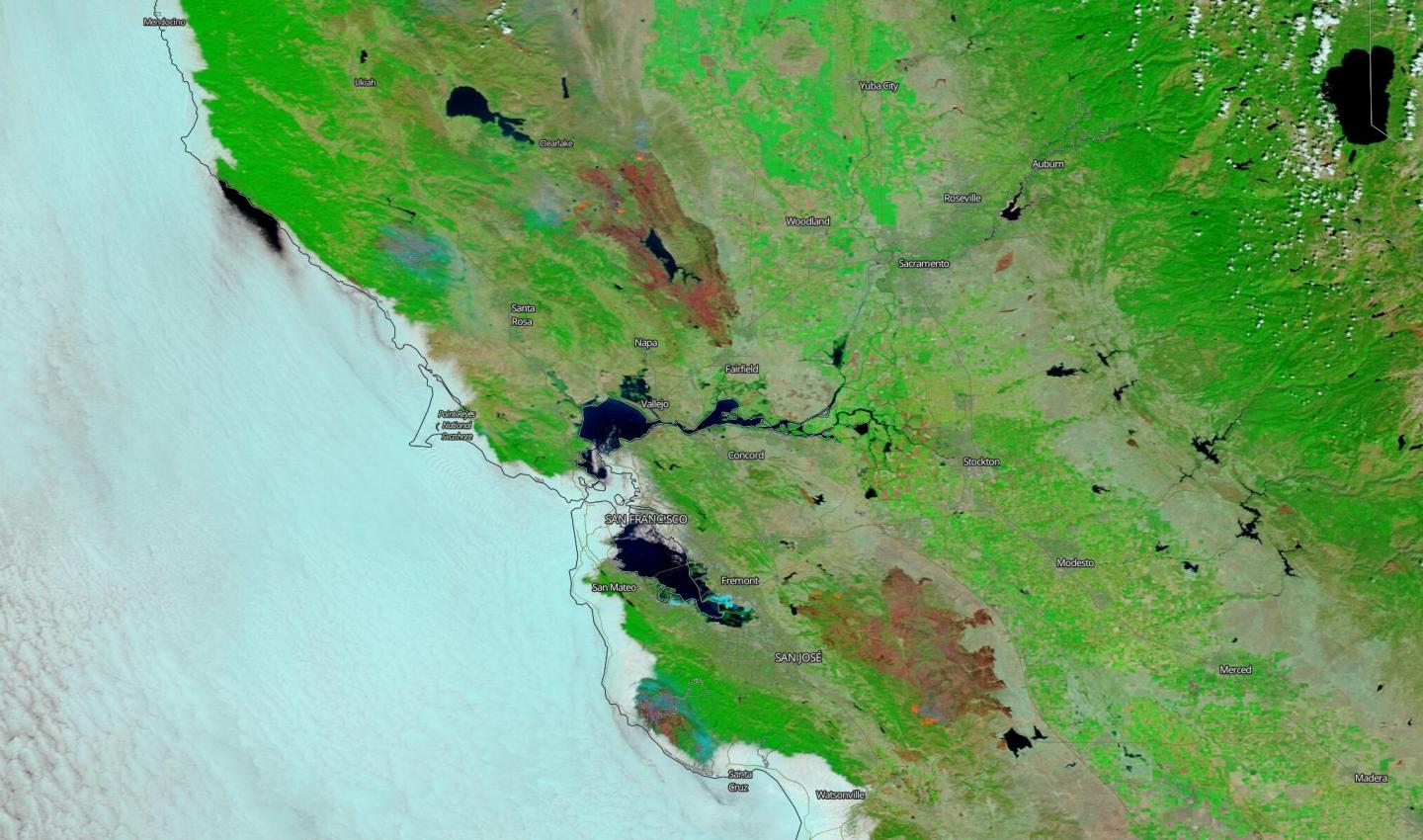 Terra image of California Fires' Burn Scars