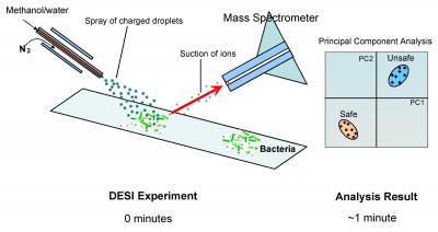 Illustration of DESI Technique