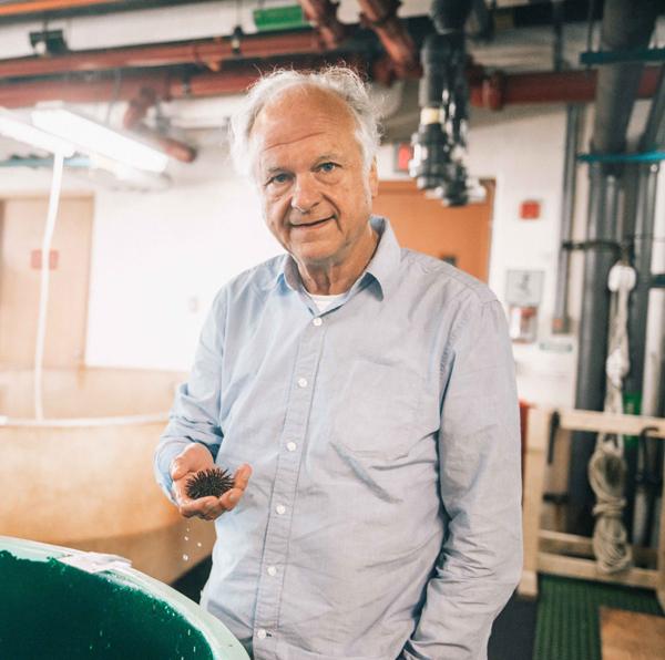 U. Benjamin Kaupp at the Marine Biological Laboratory