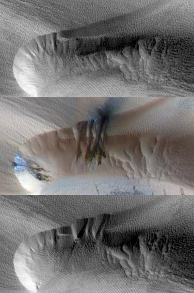 Seasonal Changes in Northern Martian Dunes