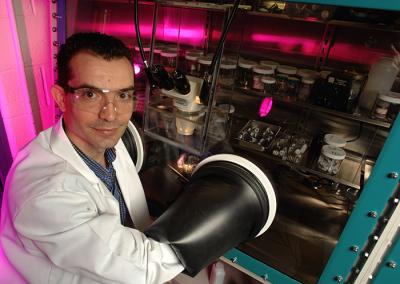 Svilen Bobev, Assistant Professor of Chemistry and Biochemistry, University of Delaware