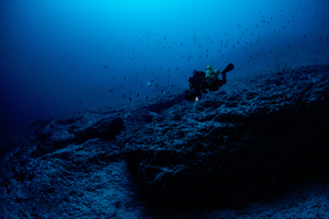 Mesophotic diver in the Maldives