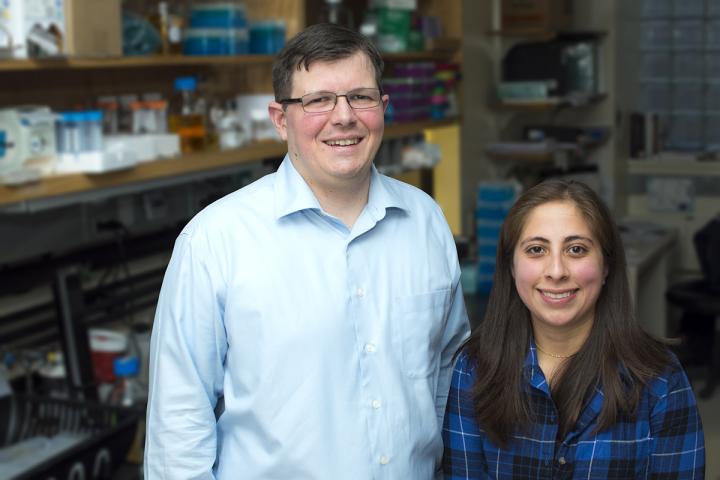 A Potentially Dangerous Pathogen