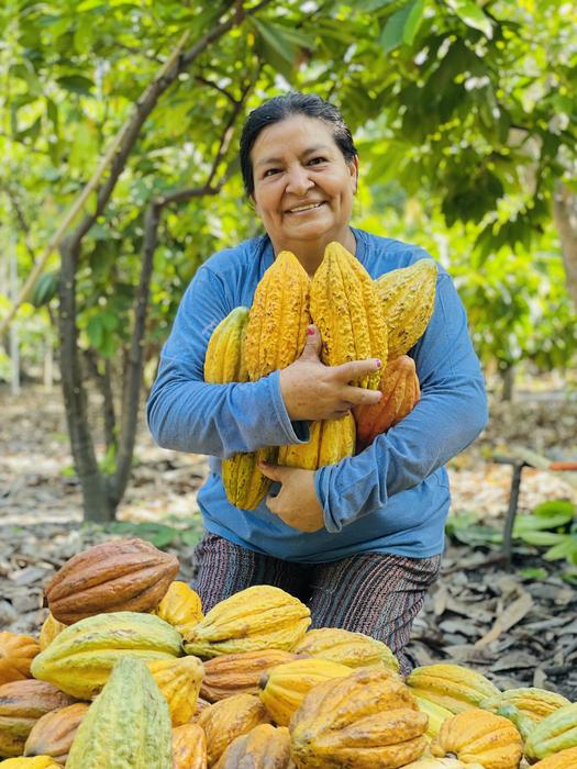 Smallholder farmers across Latin America rely on cacao production