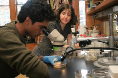 New Route for Heredity Bypasses DNA