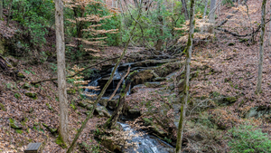 Photo of the Experimental Forest