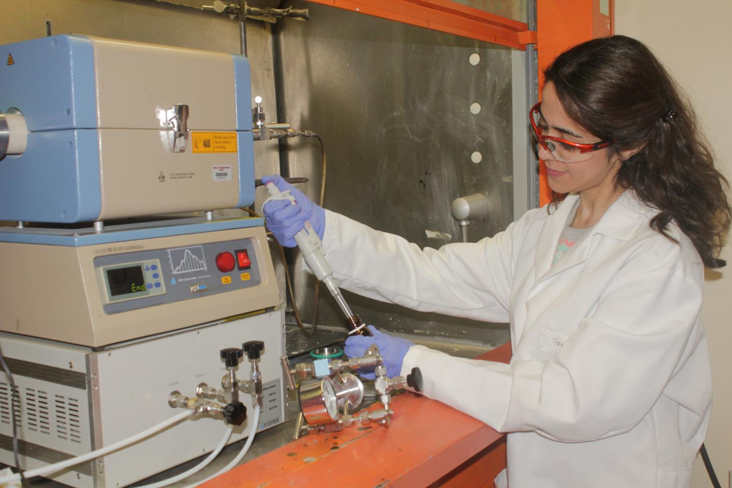 Parissa Ziaei, Washington State University