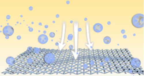 A Schematic Diagram Illustrated the PM Filtration Process