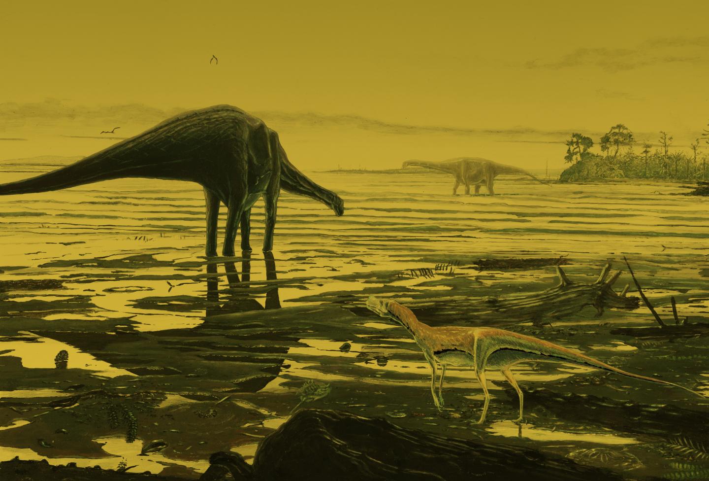 Sauropod Dinosaurs