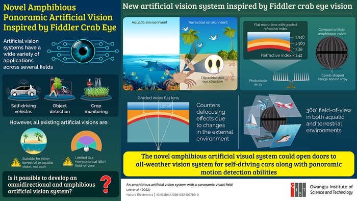 Novel amphibious panoramic artificial vision inspired by fiddler crab eye.