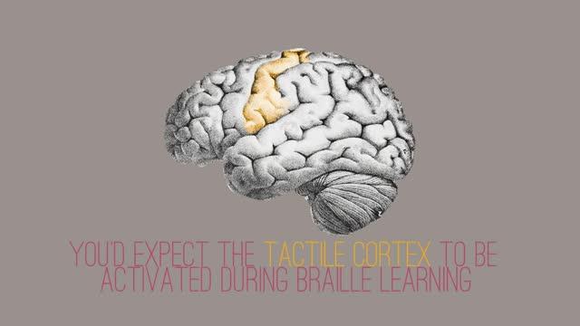 Unexpected Area of the Brain Activated by Tactile Task
