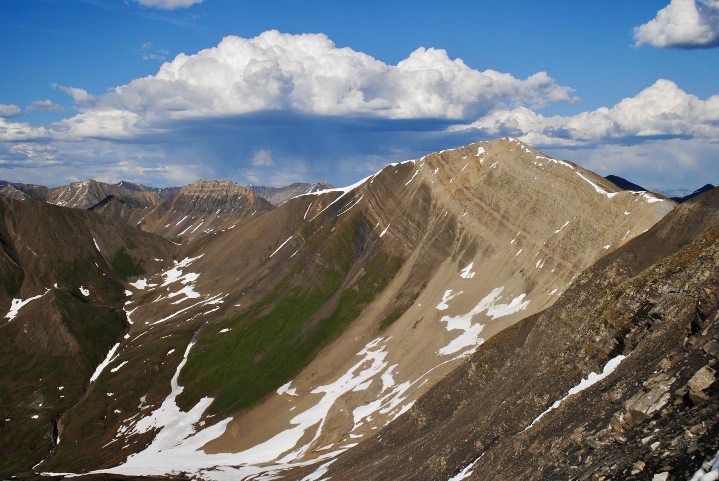 View Looking Northeast