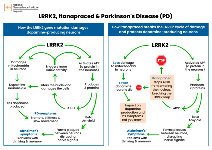 LRRK2, Itanapraced & Parkinson's Disease (PD)