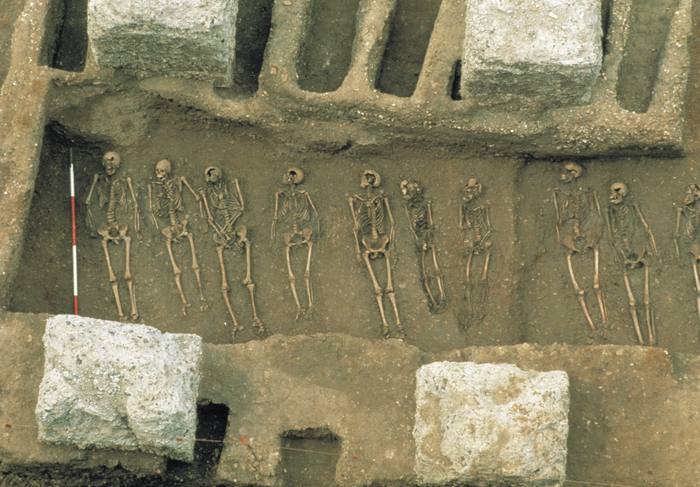 Researchers cover thousands of years in a quest to understand the elusive origins of the Black Death