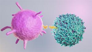 Advanced imaging to study cancer-immune interactions