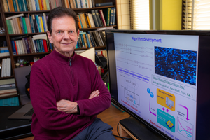 Quantum computing to study atomic nuclei