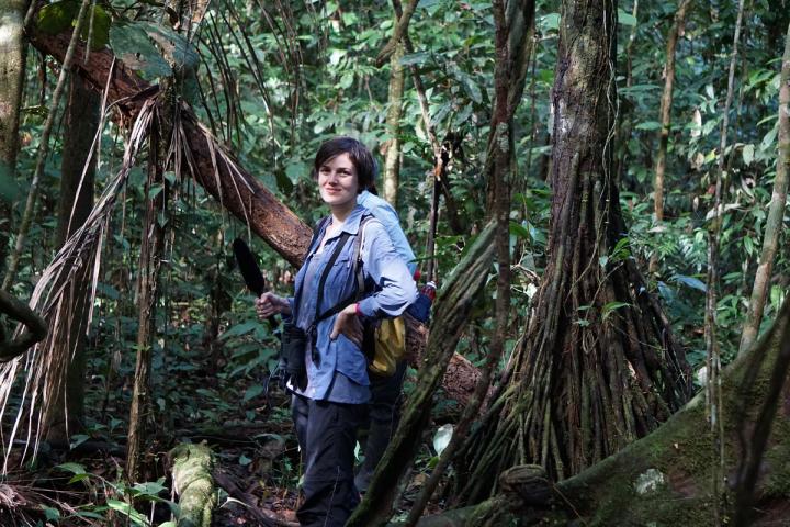 Sofya Dolotovskaya, German Primate Center