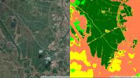Satellite Image of Central Java (Left) and Processed Image Showing Rice Fields at Different Stages o