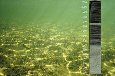 Gravel Bottom of Yellowstone Lake