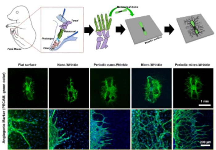 Nano/micro-scale surface modification of metal using nanosecond laser textureing processing