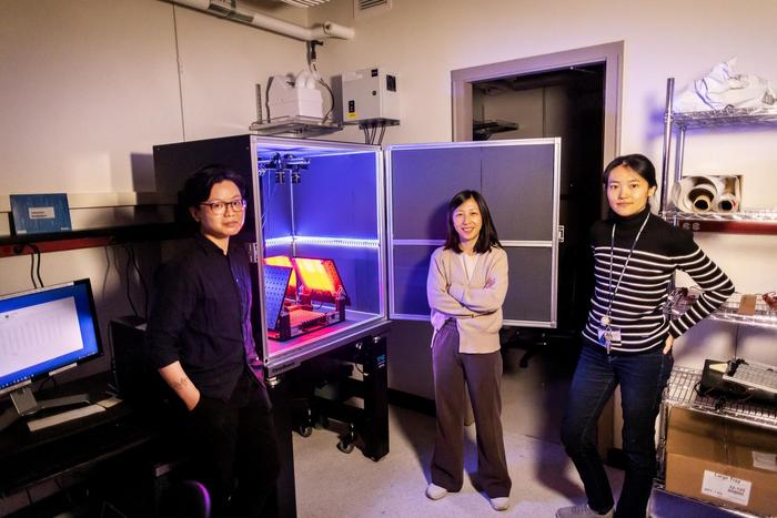 Researchers in the Yun Ding Lab