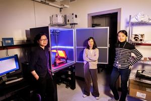 Researchers in the Yun Ding Lab