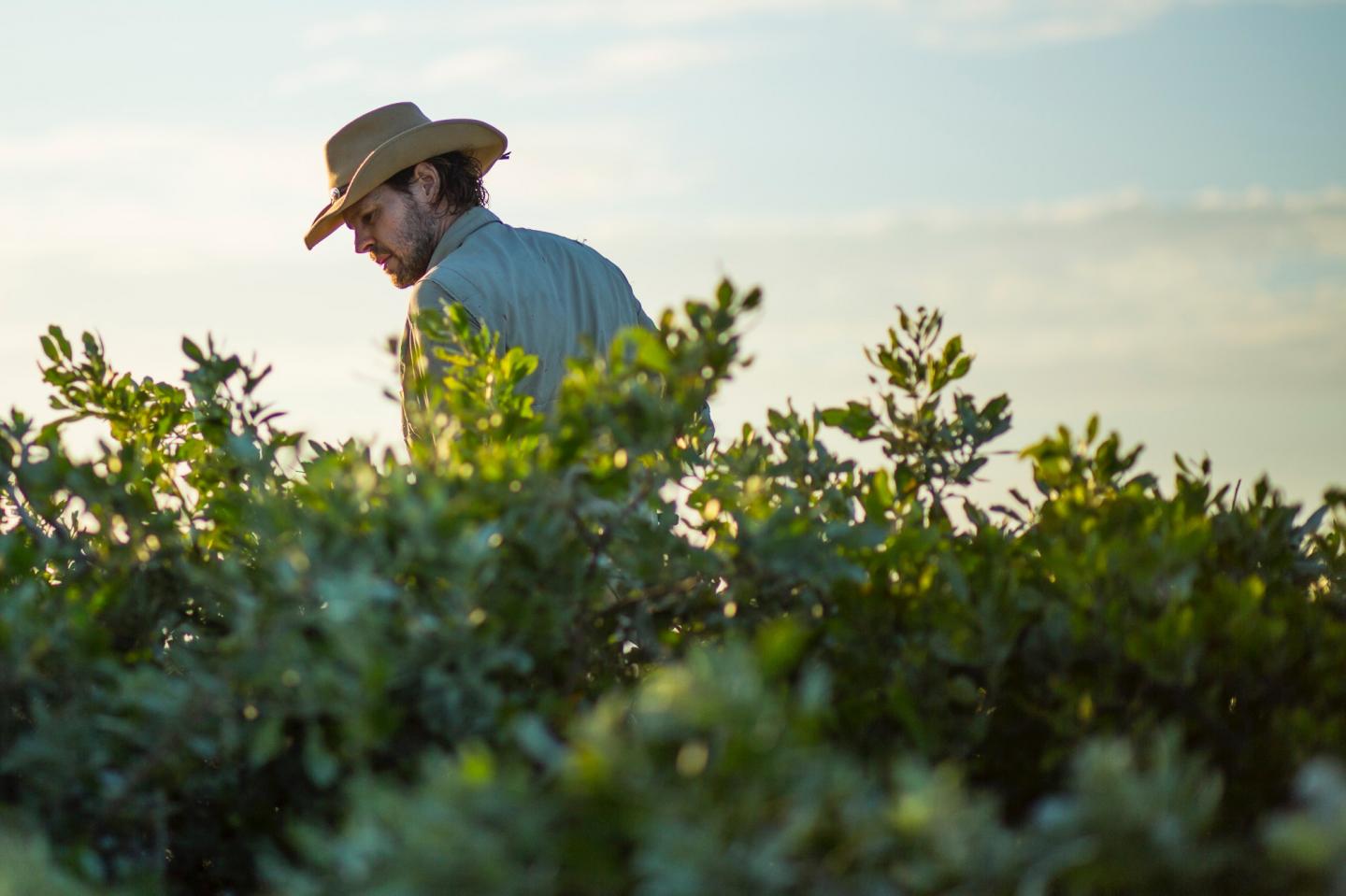 Searching the Bahamas for Lizard Droppings