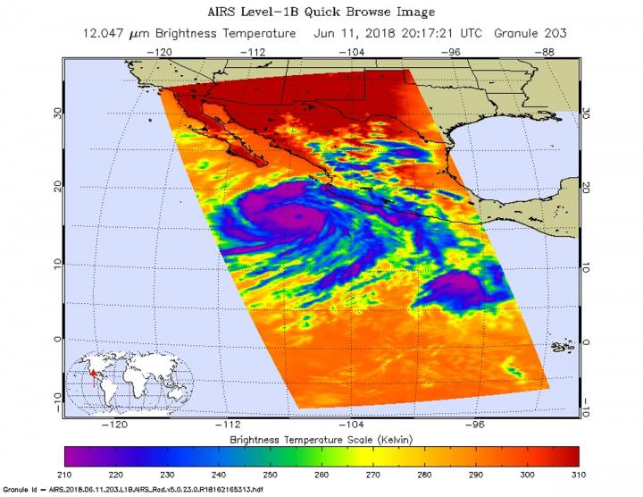 Infrared view of Bud