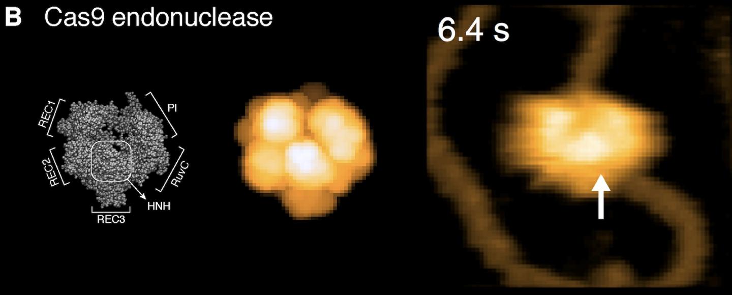 Figure 2. Simulated Scanning