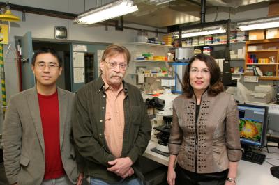 Lei Zhu, Michael Davidson and Cathy Levenson, Florida State University