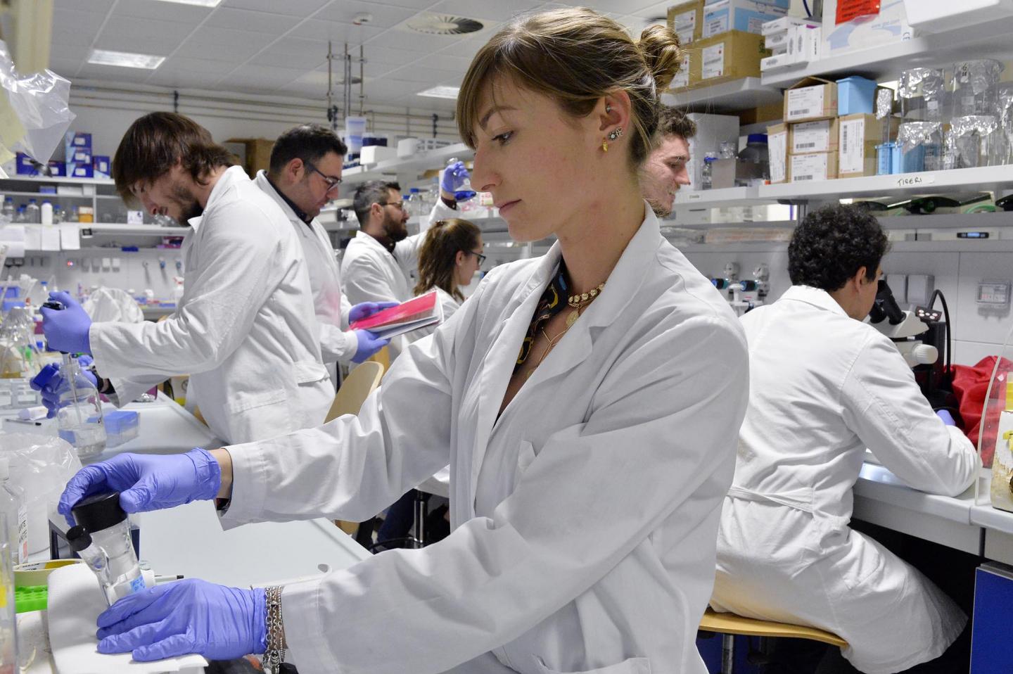 The Research Team at University of Trento (1 of 2)