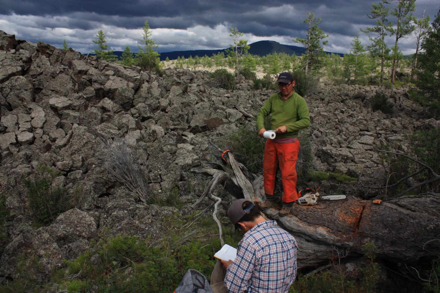 Taking Tree-ring Samples on Mongolia's UurgatLlava Field