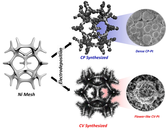 CP-Pt and CV-Pt electrodes