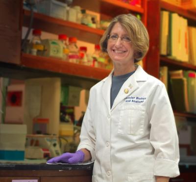 Impact of elevated homocysteine levels on vision under study