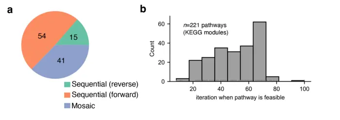 Timing the emergence of metabolic pathways