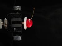 Suction Cup and Cherry