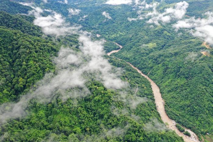 The tropical montane rainforest in Yingjiang, Yunnan