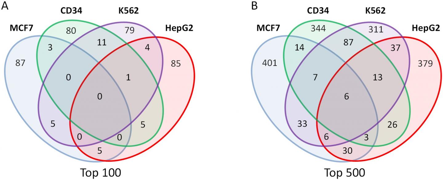 Gamma-Retroviruses Preferentially Integrate near Cancer-Associated Genes