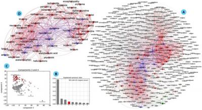 Drug Interaction Language Graph