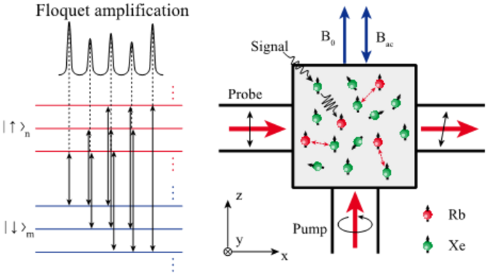 Researchers Extend Quantum Amplification to Floquet Systems