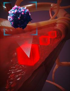 Virtual Cancer Cell