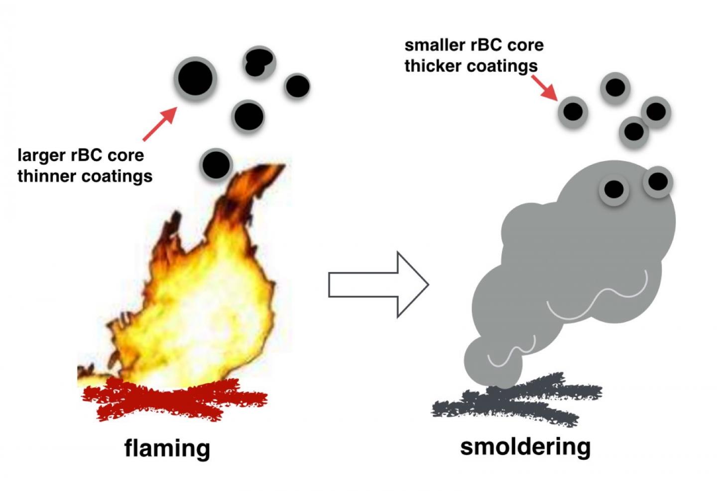 Mixing state of black carbon from biomass bur EurekAlert!